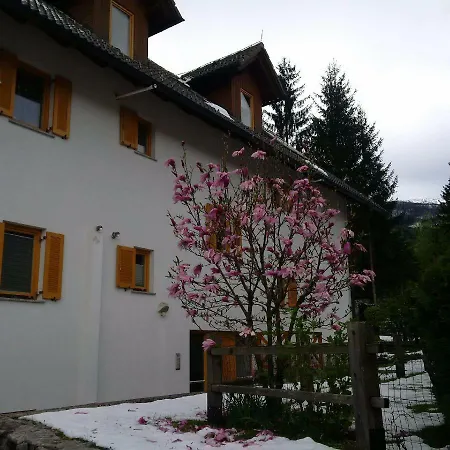 Apartma Jernej